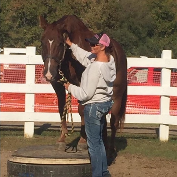 poshequestrian